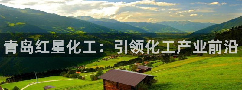 球盟会黑台子吗