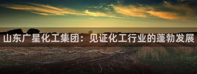 球盟会地址