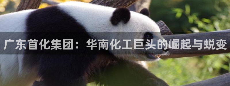 球盟会官方网站app