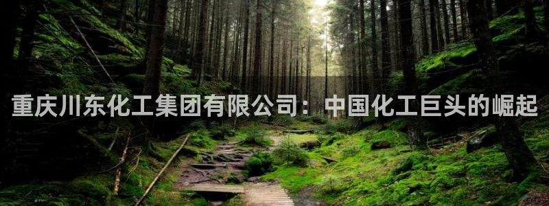 球盟会里面有打牌的嘛知乎