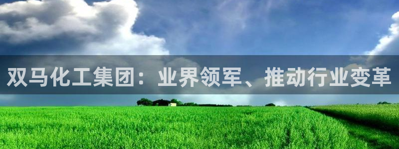 球盟会进不去吗