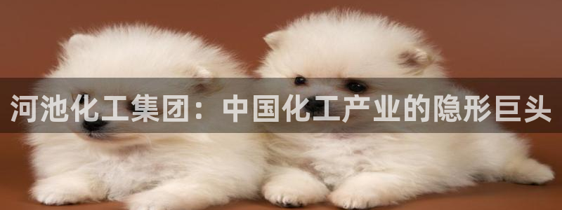 球盟会下载最新版