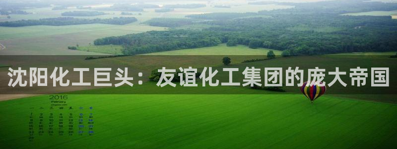 球盟会能提现吗是真的吗：沈阳化工巨头：友谊化工集团的庞大帝国