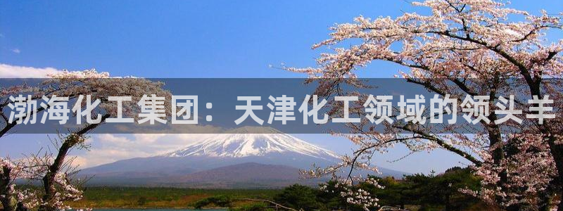 球盟会连接