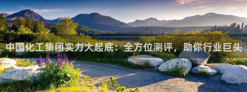球盟会在线官网