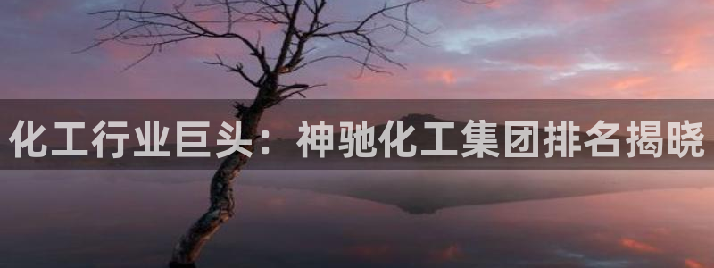 球盟会官方版下载地址