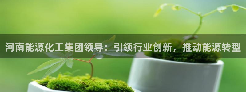 球盟会黑嘛：河南能源化工集团领导：引领行业创新，推动能源转型