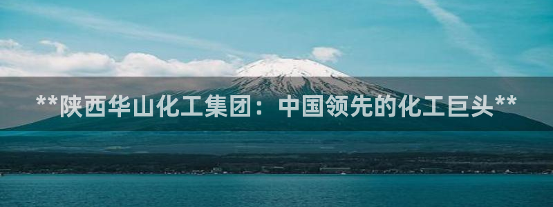 球盟会APP官网：**陕西华山化工集团：中国领先的化工巨头*
