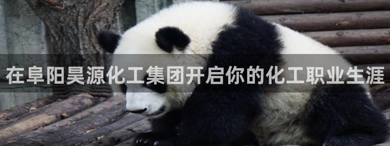 球盟会(中国)官方网站：在阜阳昊源化工集团开启你的化工职业生
