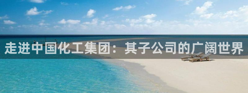 球盟会贴吧
