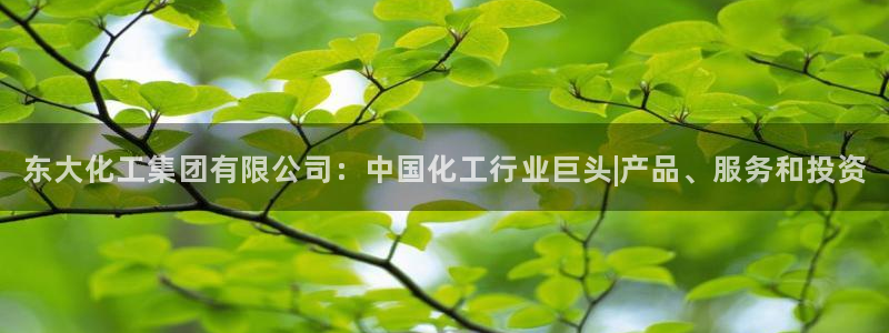 球盟会类似的网站：东大化工集团有限公司：中国化工行业巨头|产
