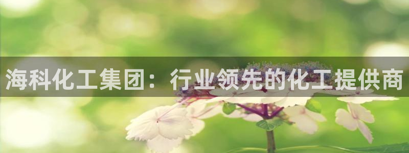 球盟会和中欧会的区别：海科化工集团：行业领先的化工提供商