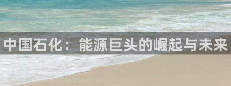 球盟会登陆