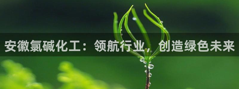 球盟会qm9