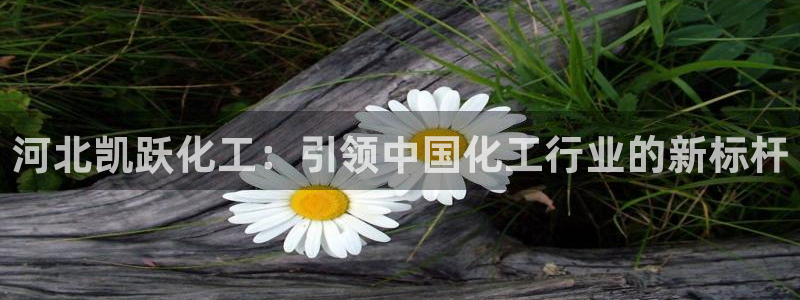 球盟会App
