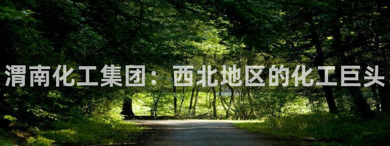 球盟会官网app下载