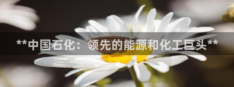 球盟会手机网页版：**中国石化：领先的能源和化工巨头**