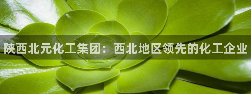 球盟会官网入口：陕西北元化工集团：西北地区领先的化工企业