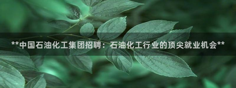 球盟会登录平台入口：**中国石油化工集团招聘：石油化工行业的