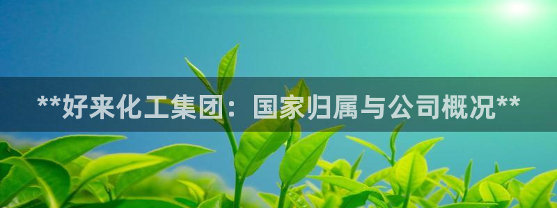 球盟会黑台：**好来化工集团：国家归属与公司概况**