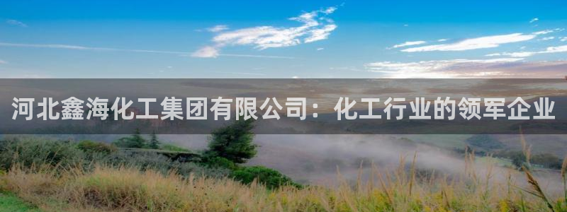 球盟会和中欧会的区别：河北鑫海化工集团有限公司：化工行业的领