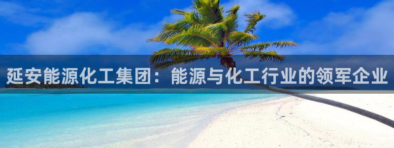 球盟会app最新地址在哪里：延安能源化工集团：能源与化工行业
