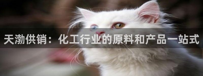 球盟会网址多少：天渤供销：化工行业的原料和产品一站式