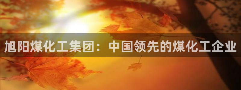 球盟会娱乐平台：旭阳煤化工集团：中国领先的煤化工企业