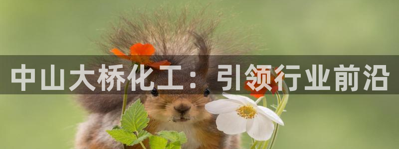 球盟会黑款吗是真的吗：中山大桥化工：引领行业前沿