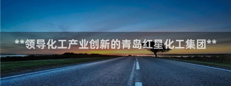 球盟会入口：**领导化工产业创新的青岛红星化工集团**
