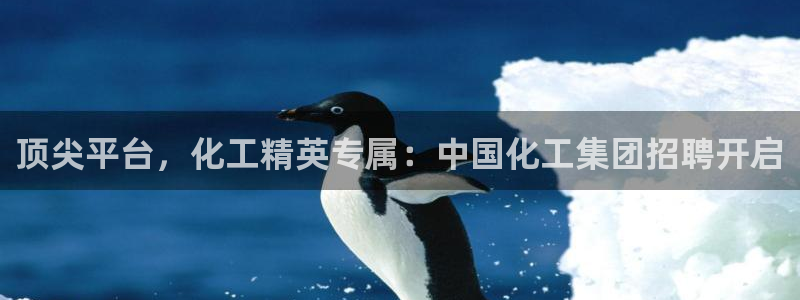 球盟会可以提现么现在：顶尖平台，化工精英专属：中国化工集团招