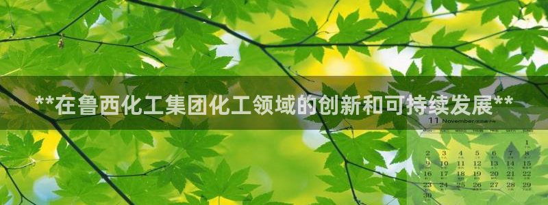 球盟会黑嘛：**在鲁西化工集团化工领域的创新和可持续发展**