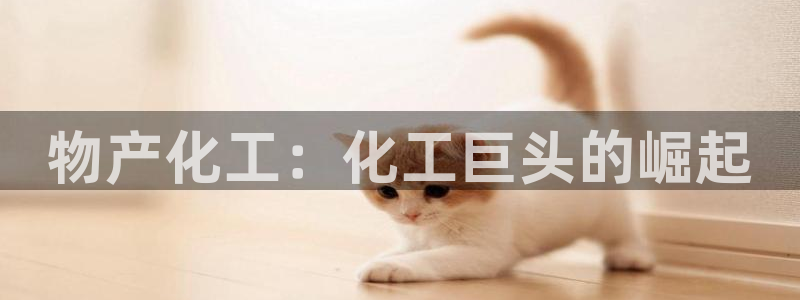球盟会封禁：物产化工：化工巨头的崛起