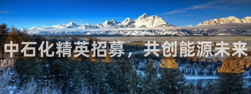 球盟会可以提现么现在：中石化精英招募，共创能源未来