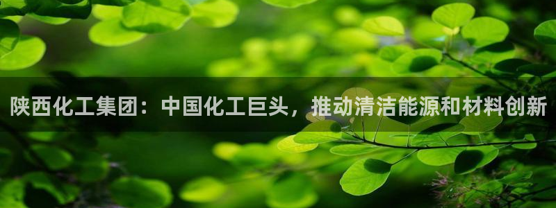 球盟会app最新地址下载安装：陕西化工集团：中国化工巨头，推