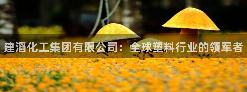 球盟会和中欧合作吗：建滔化工集团有限公司：全球塑料行业的领军