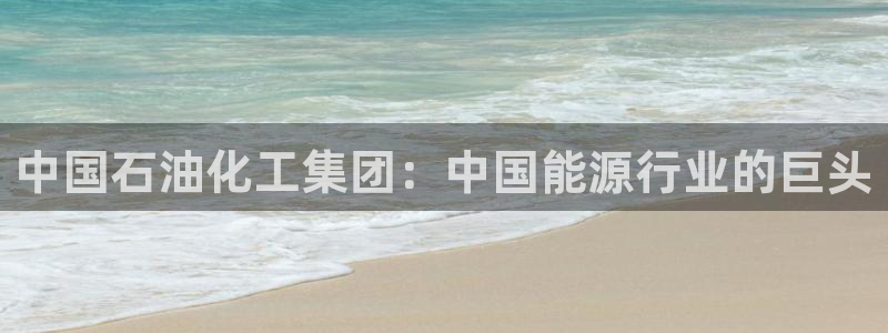 球盟会综合体育平台怎么样：中国石油化工集团：中国能源行业的巨