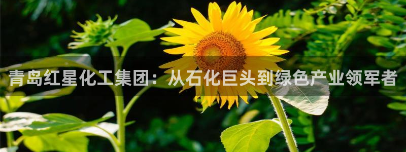 球盟会qmh电子网页版登录：青岛红星化工集团：从石化巨头到绿
