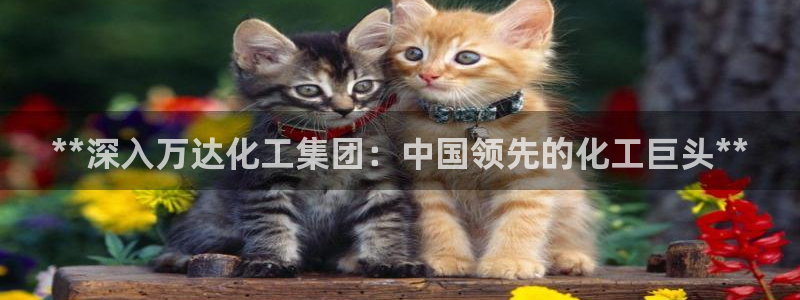 球盟会在线登录官网：**深入万达化工集团：中国领先的化工巨头