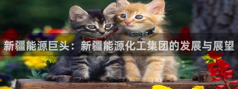 球盟会qmh