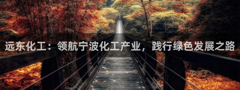 球盟会国际官网