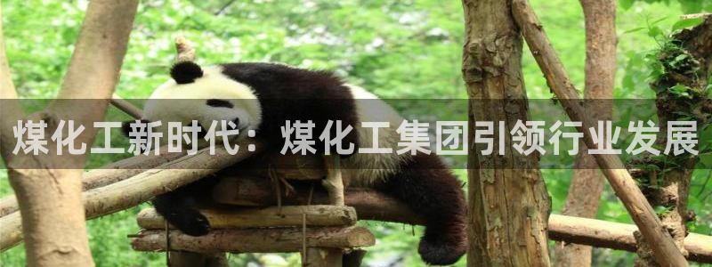 球盟会黑嘛
