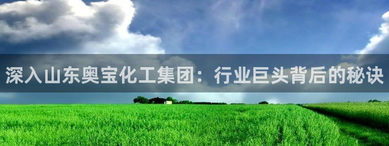 球盟会几点玩合适