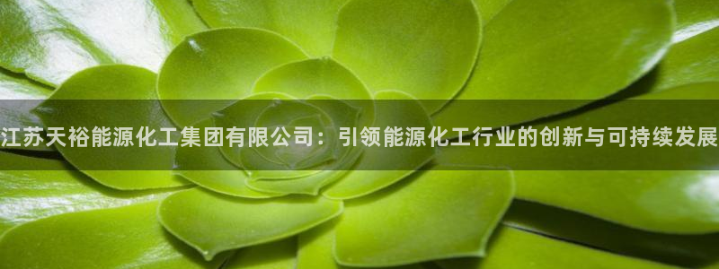 球盟会能退钱吗是真的吗：江苏天裕能源化工集团有限公司：引领能