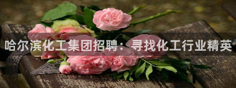 球盟会福利码2023最简单三个步骤