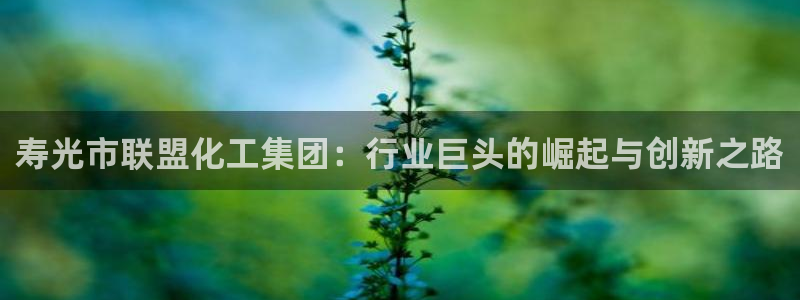 球盟会优惠码