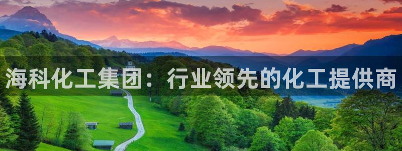 球盟会黑款吗知乎：海科化工集团：行业领先的化工提供商