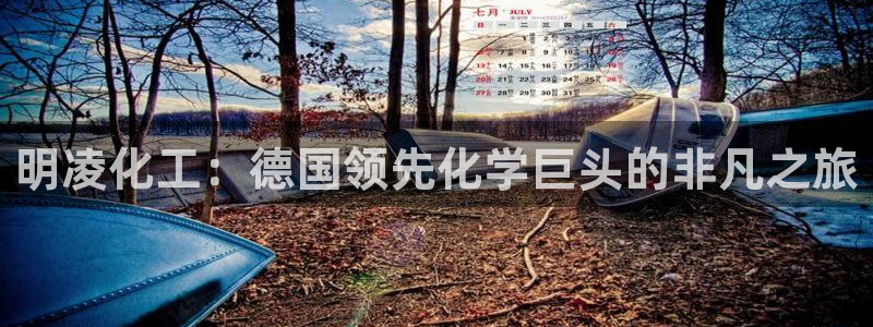 球盟会网址