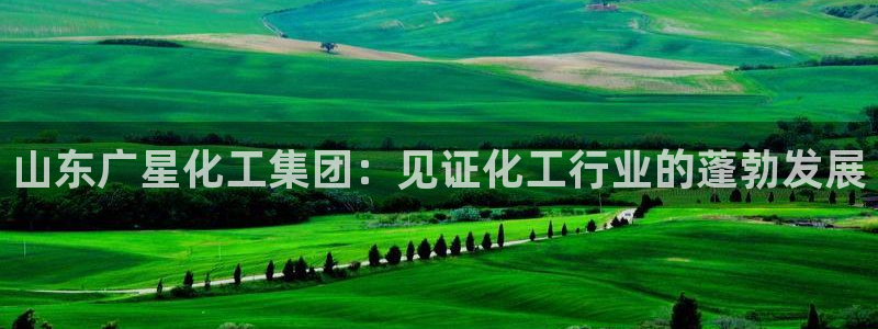 球盟会qm9