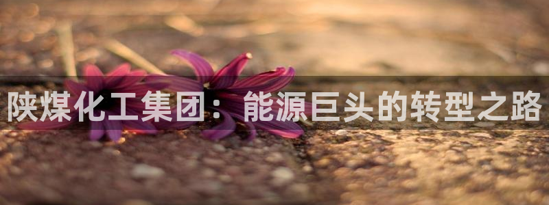 球盟会有限公司怎么样